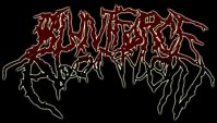 Blunt Force Abortion logo