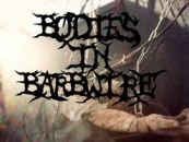Bodies In Barbwire logo