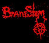 BraneStem logo