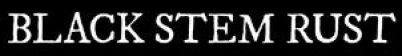 Black Stem Rust logo