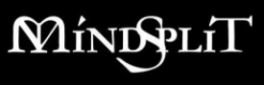 Mindsplit logo