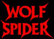 Wolf Spider logo