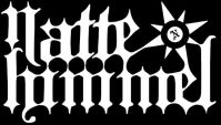 Nattehimmel logo