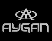 Aygan logo
