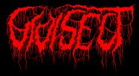 Vivisect logo