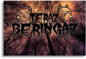 TERAZ BERINGAZ logo