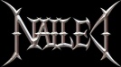 Nailed logo