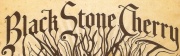 Black Stone Cherry logo
