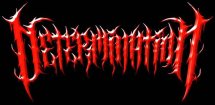 Determination logo