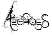 Aechoes logo