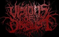 Visions Of Disgust logo