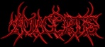 Amagortis logo