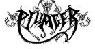 Pillager logo