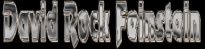 David Rock Feinstein logo