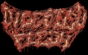 Digested Flesh logo