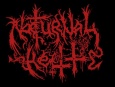 Nocturnal Hell logo