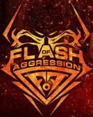 Flash of Aggression logo