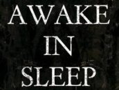 Awake in Sleep logo