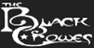 The Black Crowes logo