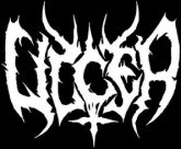 Ulcer logo