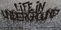life in underground logo