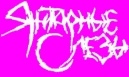 Amber Tears logo