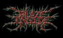 Blaze Inside logo