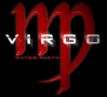 Virgo logo
