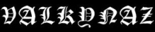 Valkynaz logo