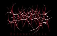 Endometritis logo