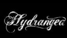 Hydrangea logo