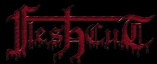 Fleshcut logo