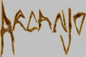 Arcanjjo logo