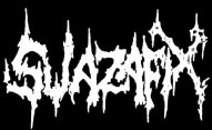 Swazafix logo