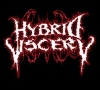 Hybrid Viscery logo