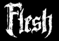 Flesh logo