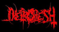 Necroflesh logo