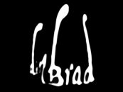 Din Brad logo