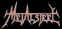 Metalsteel logo