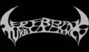 Cerebral Turbulency logo