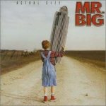 Mr.big - Actual Size