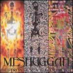 Meshuggah - Destroy Erase Improve cover art