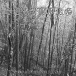 Striborg - Ghostwoodlands cover art