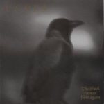 Veles - The Black Ravens Flew Again cover art
