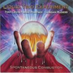 Liquid Trio Experiment - Spontaneous Combustion cover art