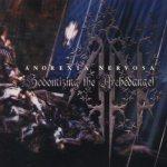 Anorexia Nervosa - Sodomizing the Archedangel cover art