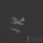 Furia - Martwa polska jesień cover art