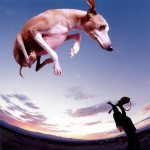Paul Gilbert - Flying Dog cover art