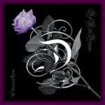 Do Not Dream - Withered Rose cover art