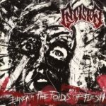 Insision - Beneath the Folds of Flesh cover art